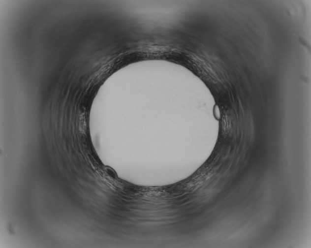X0000096461204200802211117