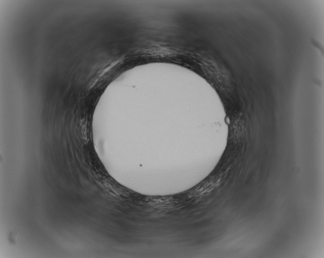 X0000096461205200802211117