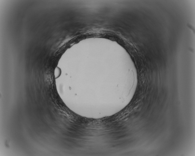 X0000096461206200802211117