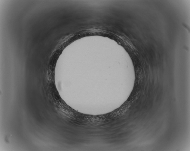 X0000096461207200802211117