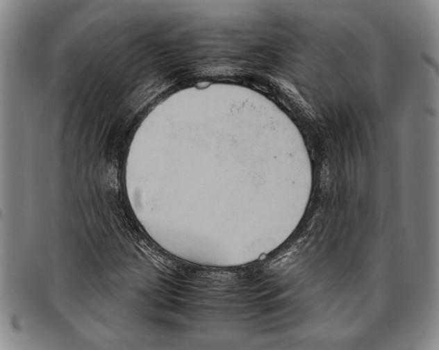 X0000096461209200802211117