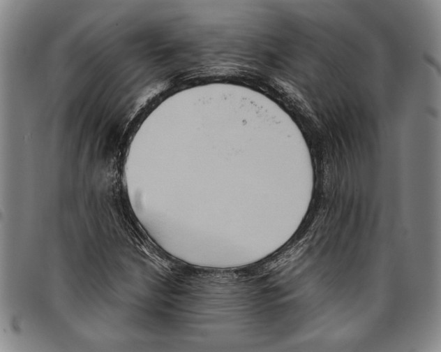 X0000096461210200802211117