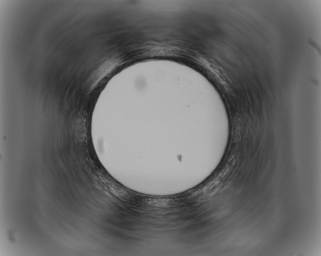 X0000096461211200802211117