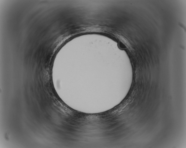 X0000096461212200802211117