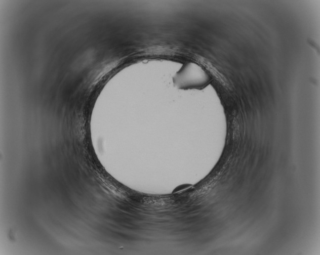 X0000096461213200802211117