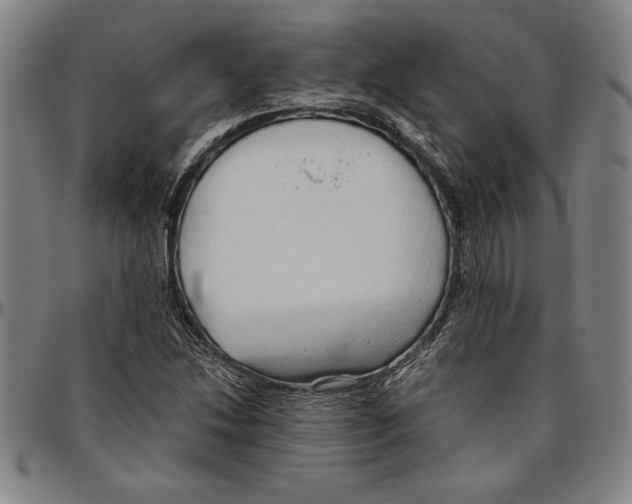 X0000096461214200802211117