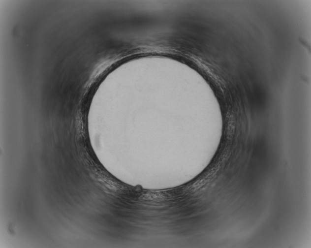 X0000096461215200802211117