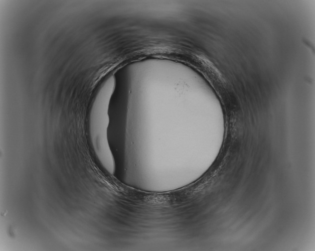 X0000096461217200802211117