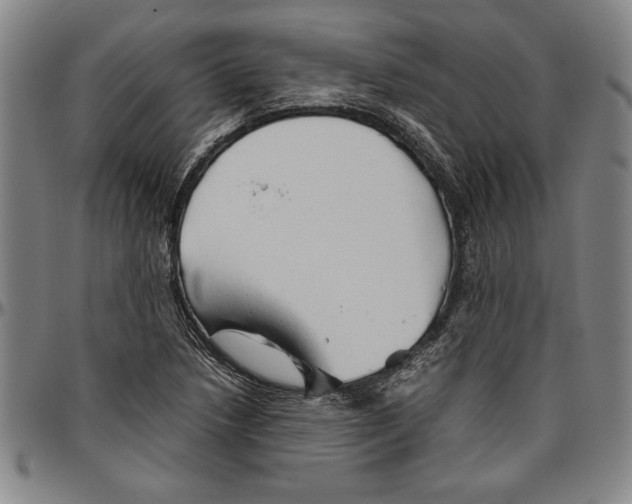 X0000096461218200802211117