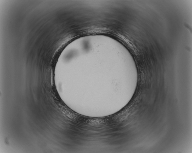 X0000096461219200802211117