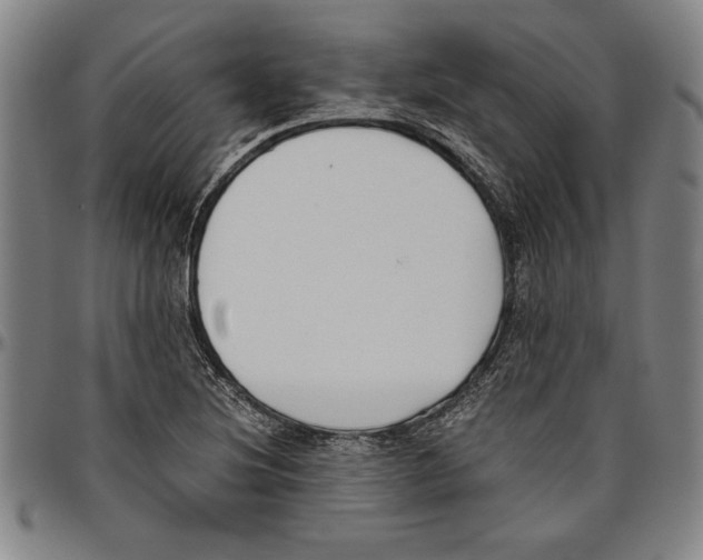X0000096461220200802211117