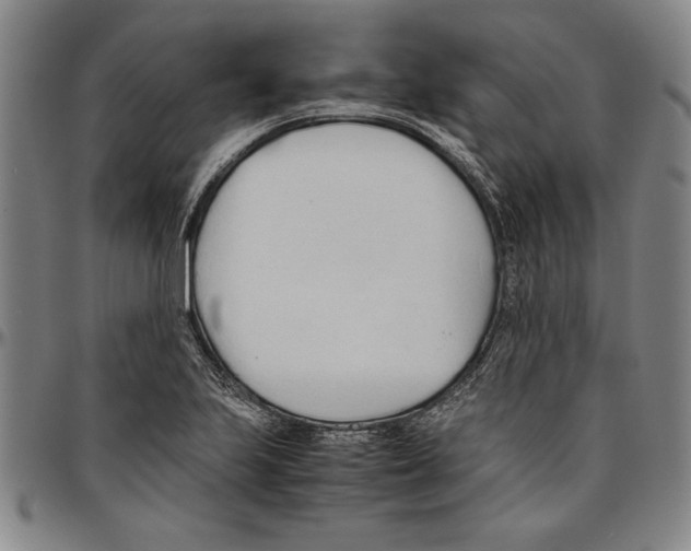 X0000096461223200802211117