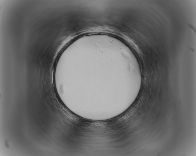 X0000096461224200802211117