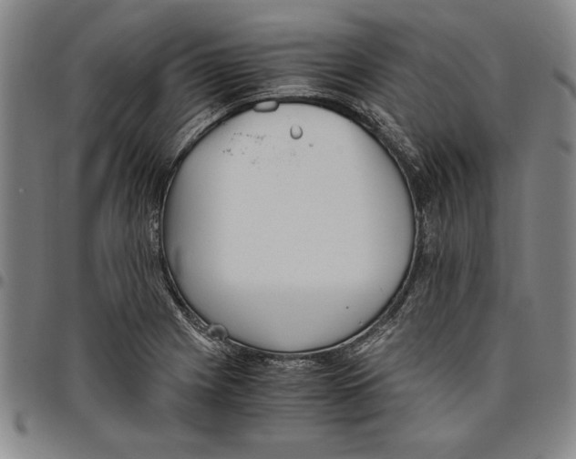 X0000096461225200802211117