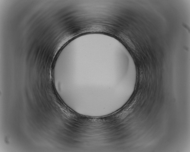X0000096461226200802211117