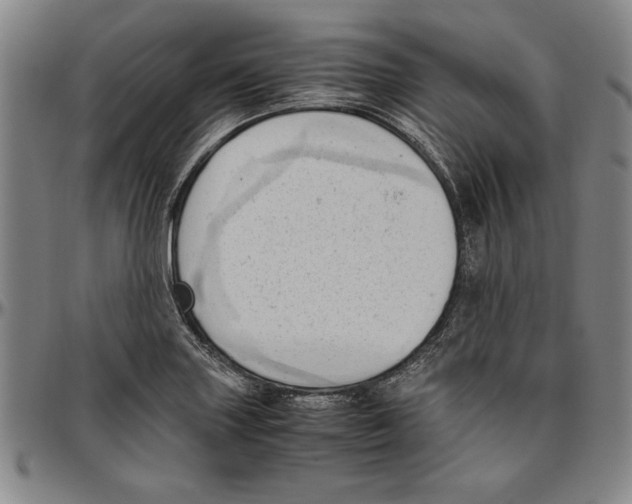 X0000096461227200802211117