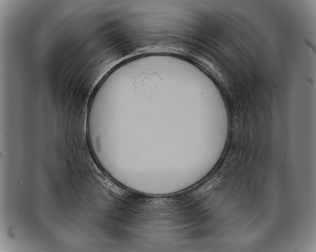 X0000096461228200802211118