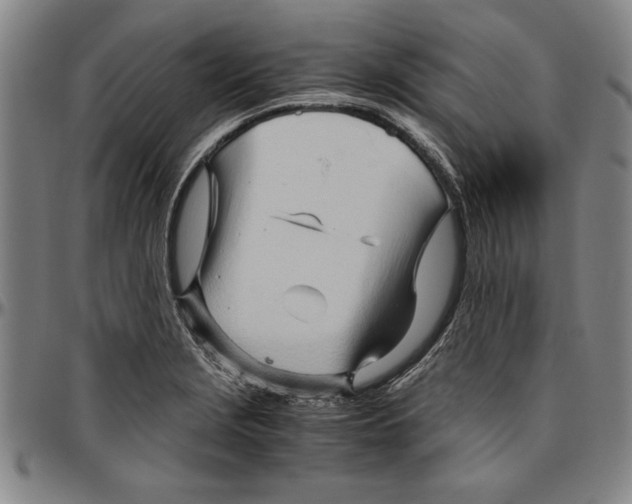 X0000096461229200802211118