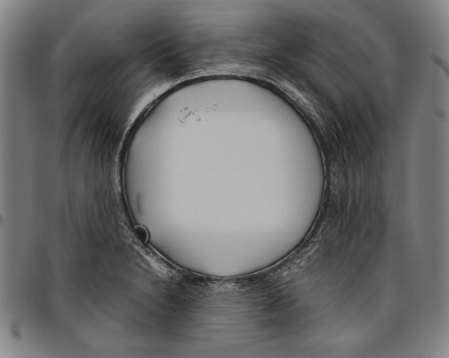 X0000096461230200802211118