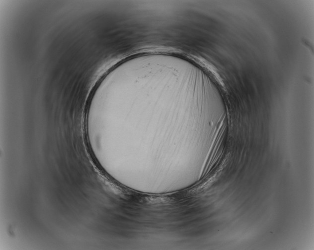 X0000096461231200802211118