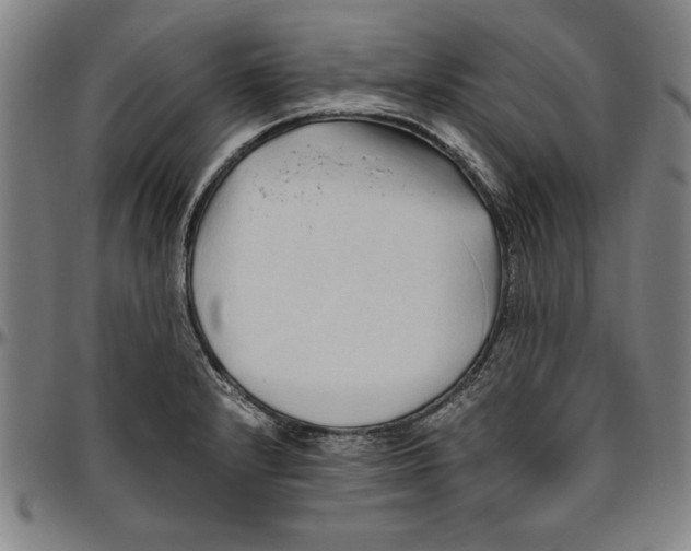 X0000096461232200802211118