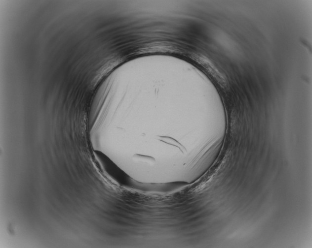 X0000096461233200802211118