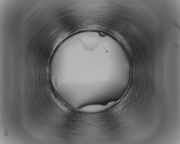 X0000096461234200802211118