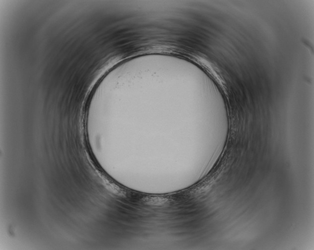 X0000096461235200802211118