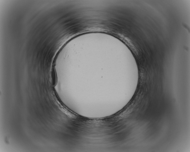 X0000096461236200802211118