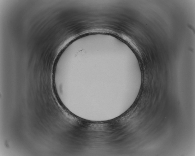 X0000096461237200802211118