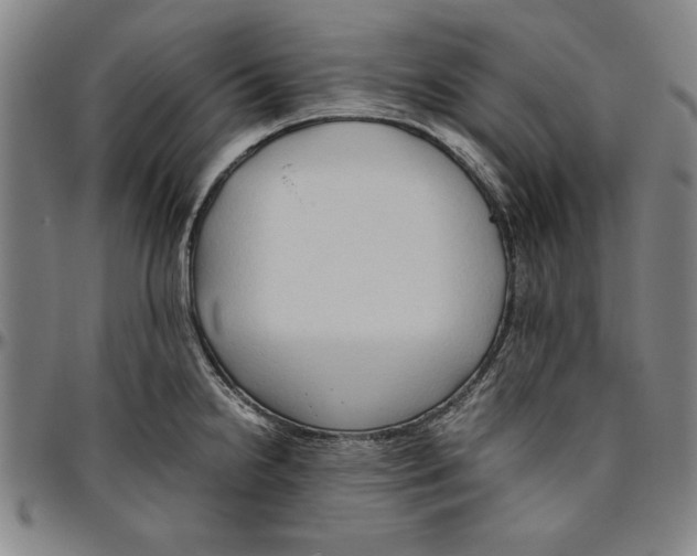 X0000096461238200802211118