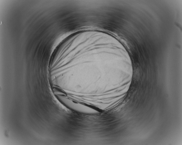 X0000096461239200802211118