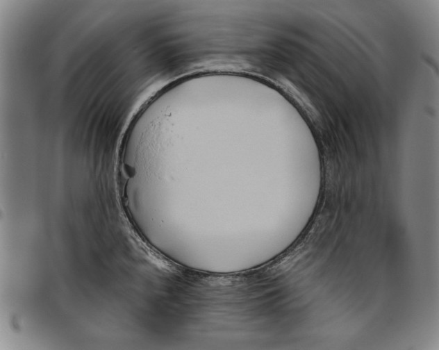 X0000096461240200802211118