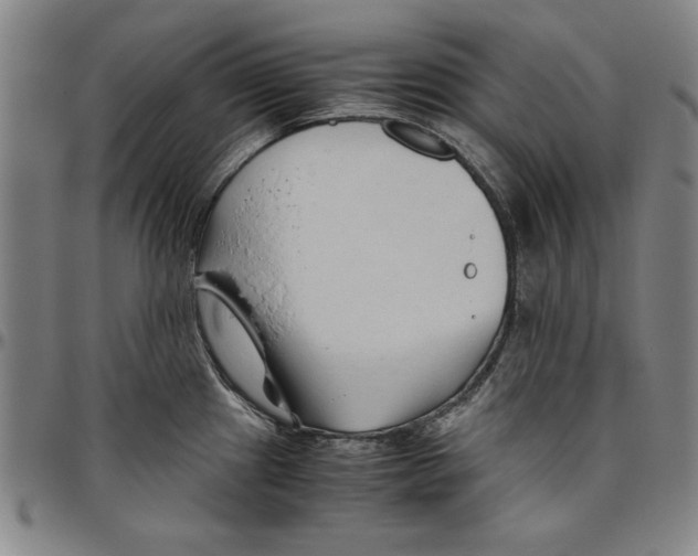 X0000096461241200802211118
