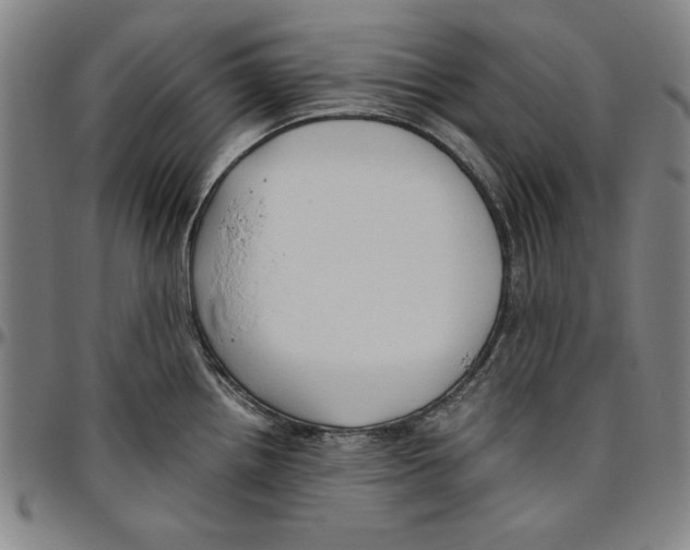 X0000096461242200802211118