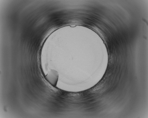 X0000096461243200802211118