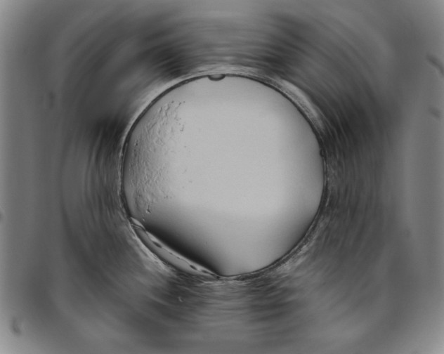 X0000096461244200802211118