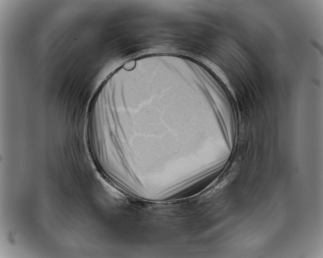 X0000096461245200802211118