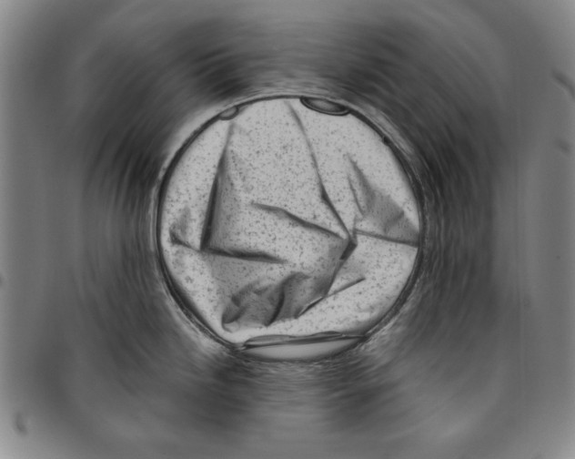 X0000096461246200802211118