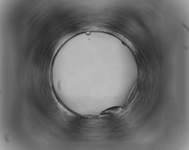 X0000096461247200802211118