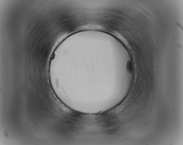 X0000096461248200802211118