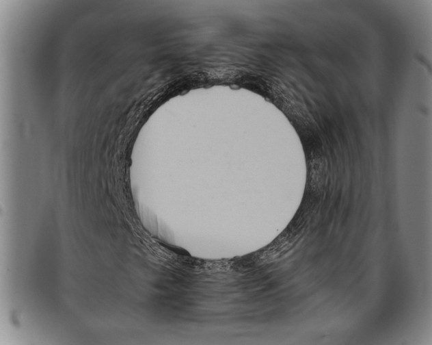 X0000096461249200802211117