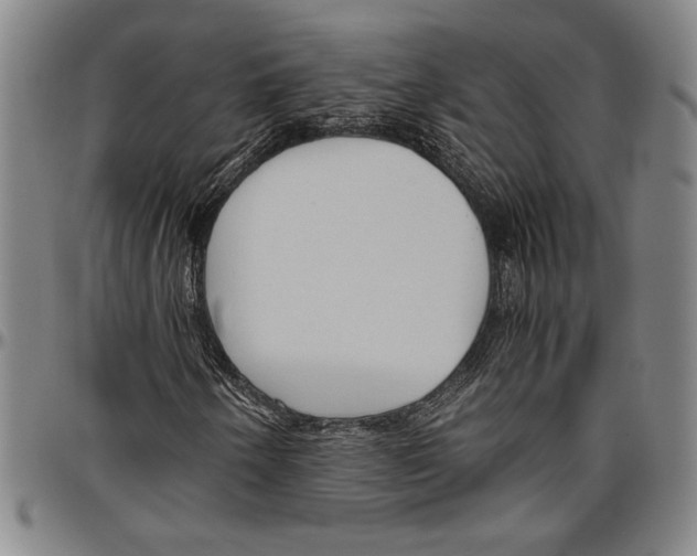 X0000096461250200802211117