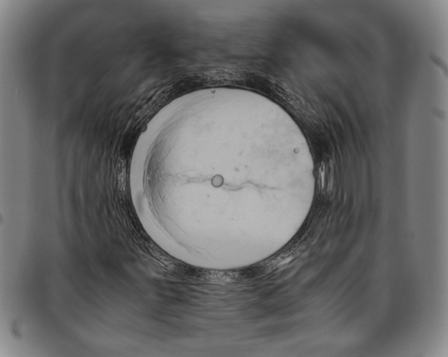 X0000096461251200802211117