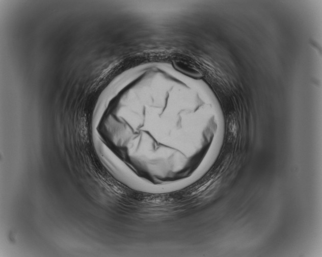 X0000096461252200802211117