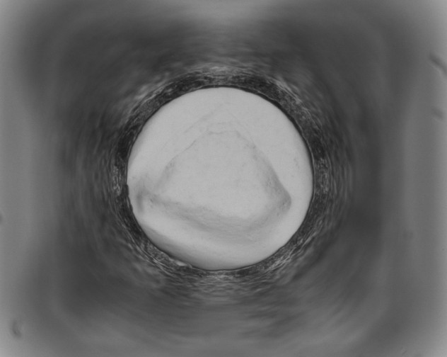 X0000096461253200802211117