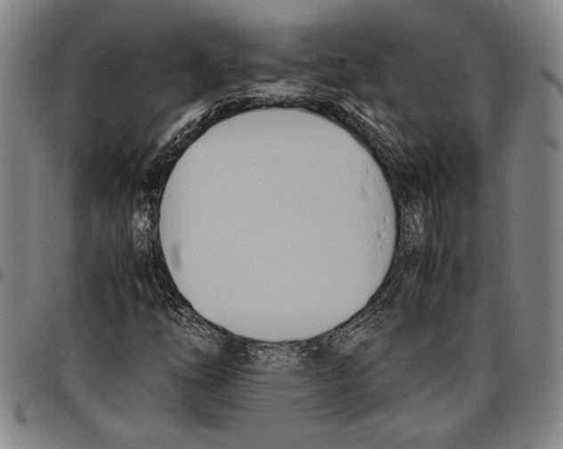 X0000096461254200802211117