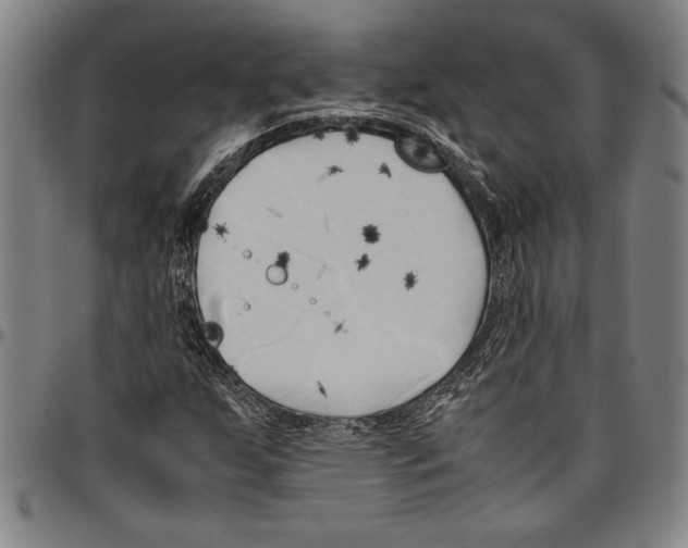 X0000096461255200802211117