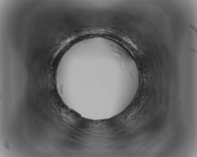 X0000096461256200802211117