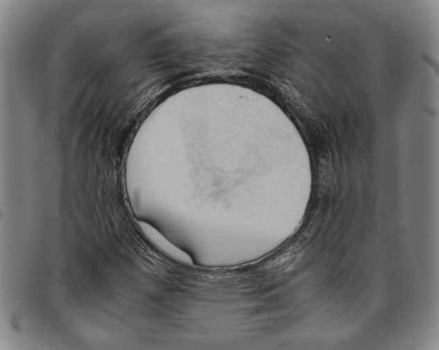X0000096461257200802211117